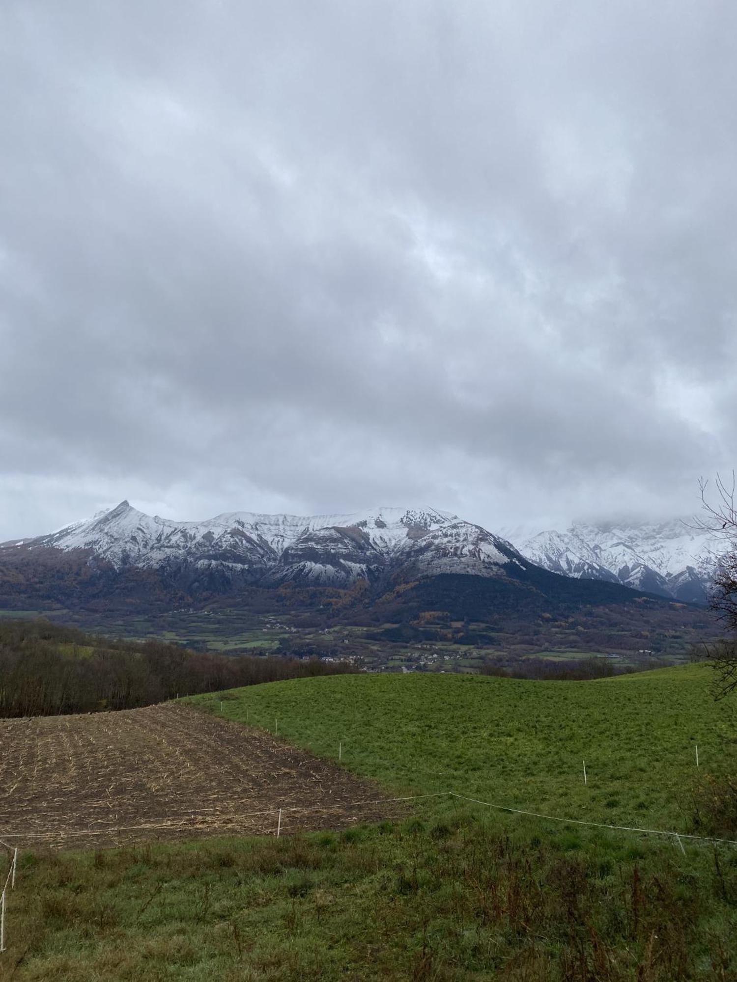 La Rose Des Vents Lejlighed Saint-Bonnet-en-Champsaur Eksteriør billede